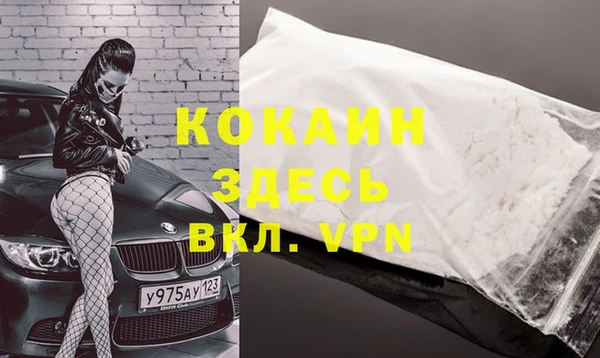 дживик Арсеньев