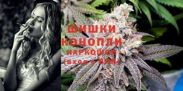дживик Арсеньев