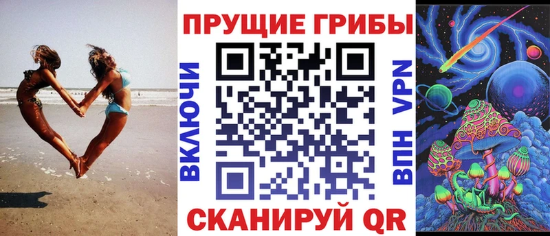 Псилоцибиновые грибы Psilocybine cubensis  Слободской 